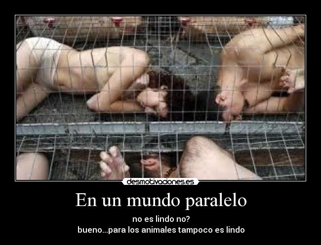 En un mundo paralelo - no es lindo no?
bueno...para los animales tampoco es lindo