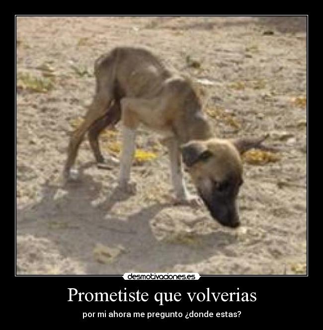 Prometiste que volverias -