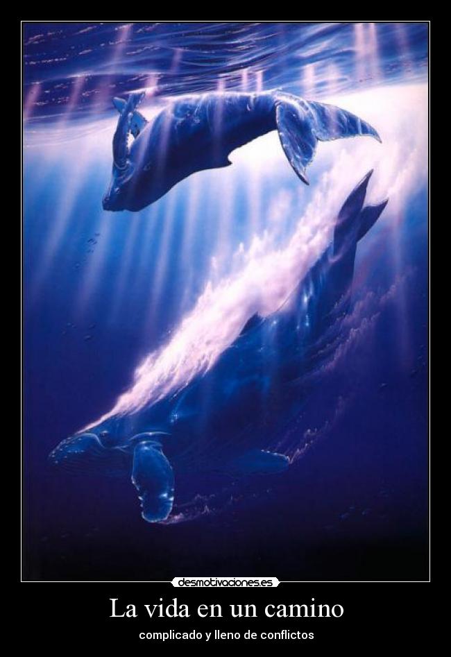 carteles vida balletina desmotivaciones