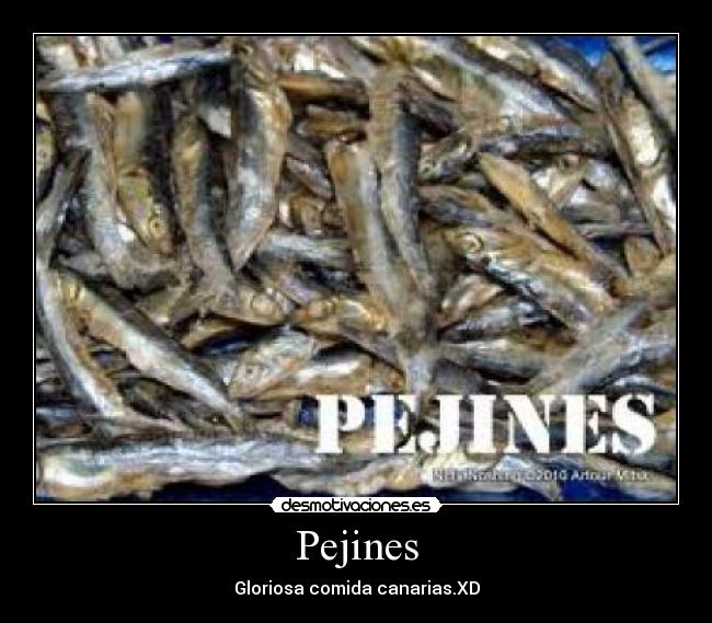 Pejines - Gloriosa comida canarias.XD
