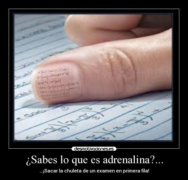 ¿Sabes lo que es adrenalina?... -