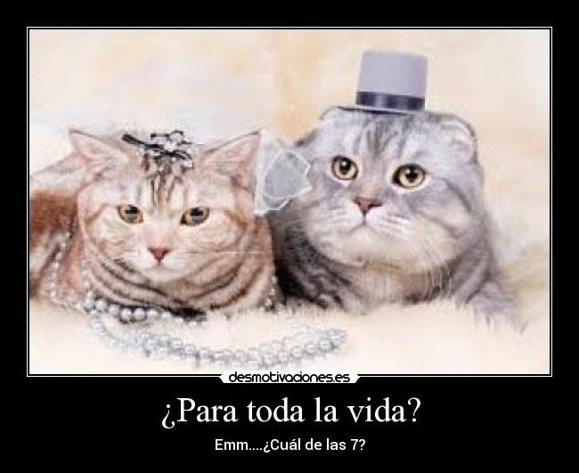 ¿Para toda la vida? - Emm....¿Cuál de las 7?