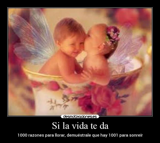 carteles vida vida desmotivaciones