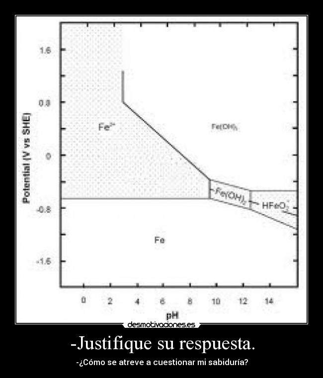 -Justifique su respuesta. - -¿Cómo se atreve a cuestionar mi sabiduría?