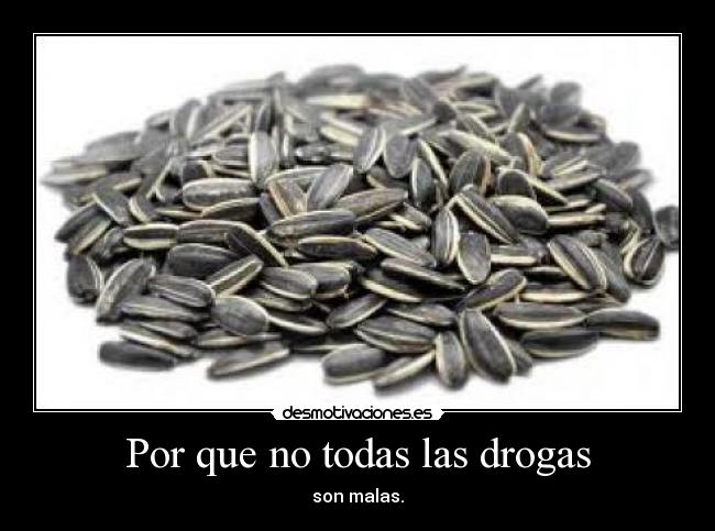 Por que no todas las drogas - 