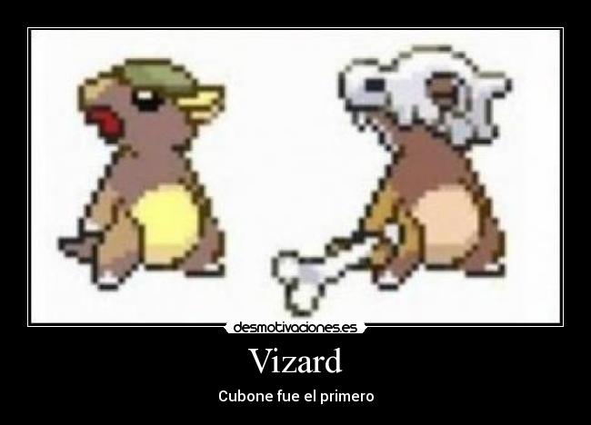 Vizard -