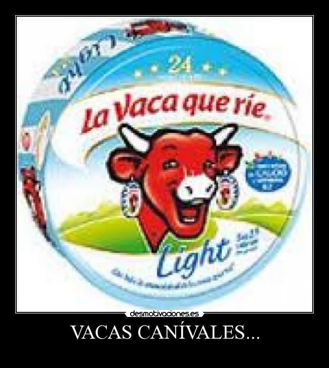 VACAS CANÍVALES... -