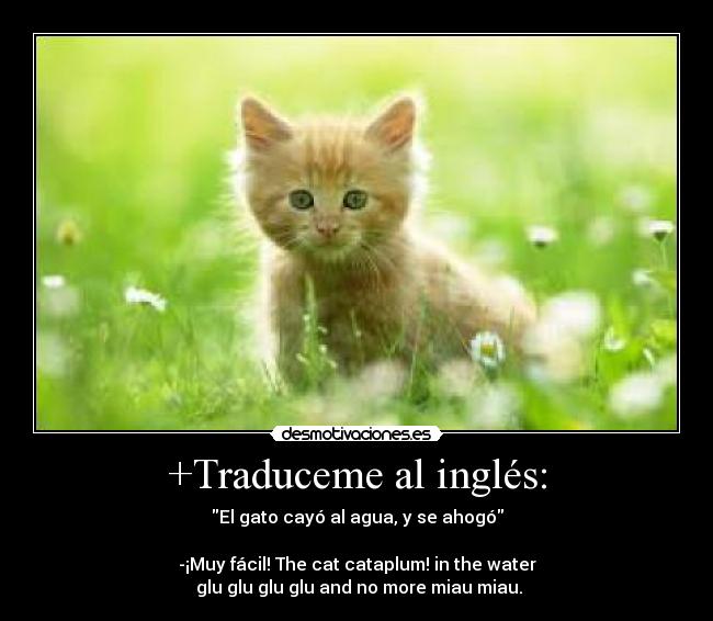 +Traduceme al inglés: -