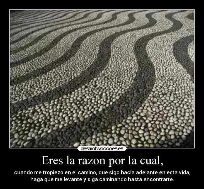 Eres la razon por la cual, -