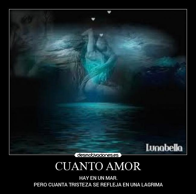 carteles amor lagrimas mar desmotivaciones
