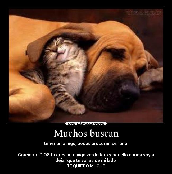 Muchos buscan - 