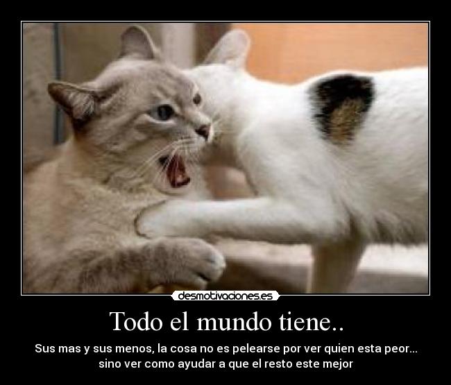 Todo el mundo tiene.. - Sus mas y sus menos, la cosa no es pelearse por ver quien esta peor...
sino ver como ayudar a que el resto este mejor