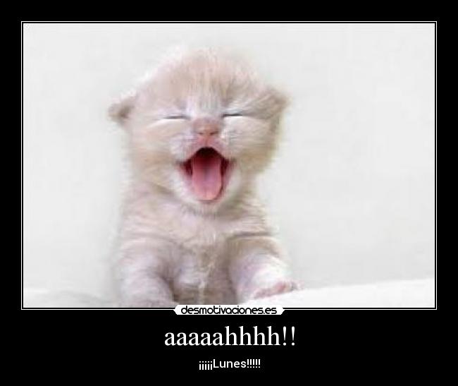 aaaaahhhh!! - ¡¡¡¡¡Lunes!!!!!