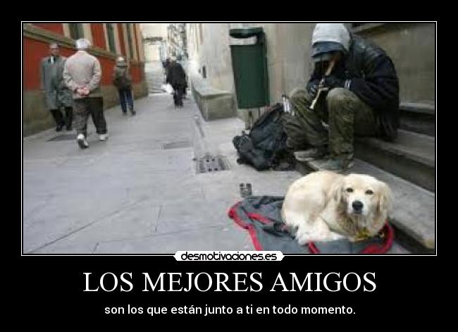 LOS MEJORES AMIGOS - son los que están junto a ti en todo momento.