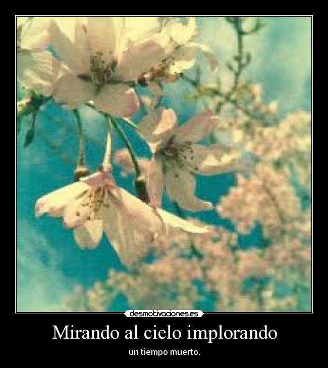 carteles adictatii desmotivaciones