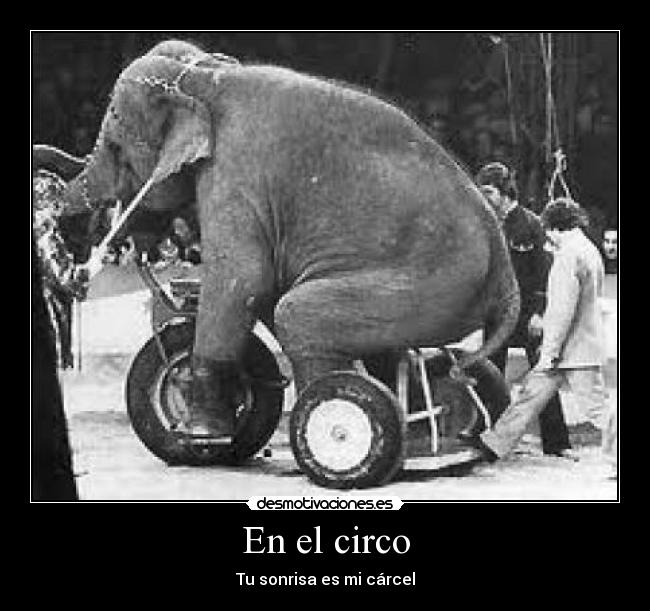 En el circo -