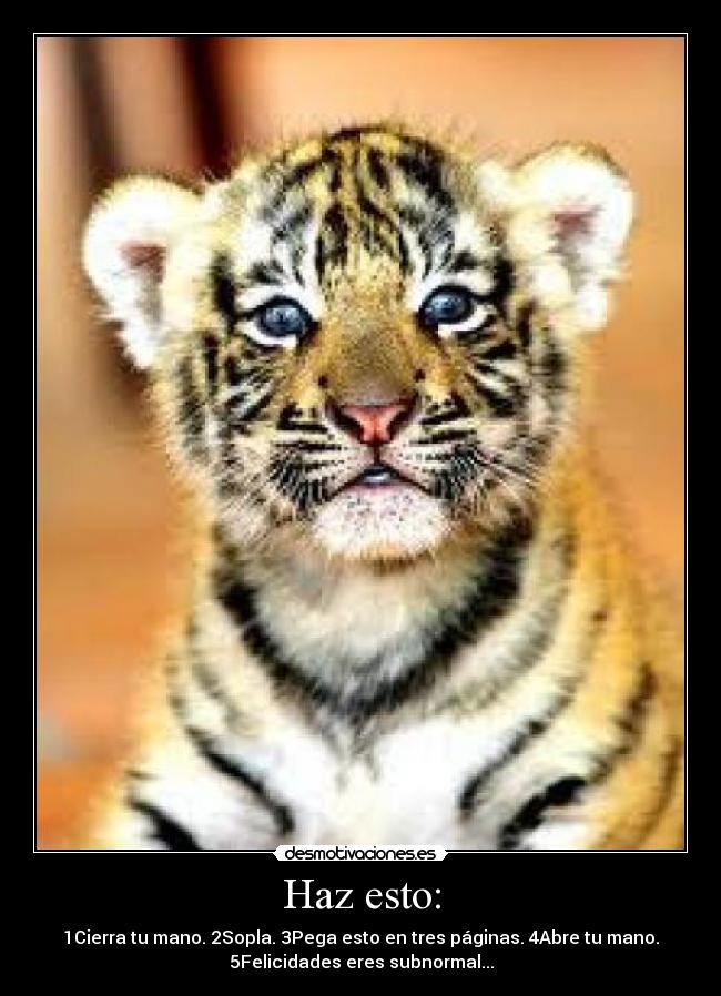 Haz esto: - 1Cierra tu mano. 2Sopla. 3Pega esto en tres páginas. 4Abre tu mano.
5Felicidades eres subnormal...