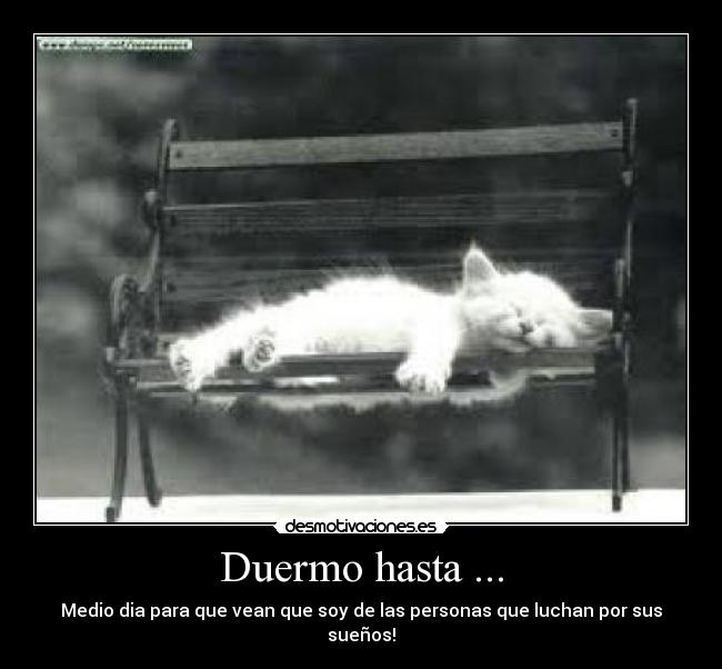 Duermo hasta ... - Medio dia para que vean que soy de las personas que luchan por sus sueños!