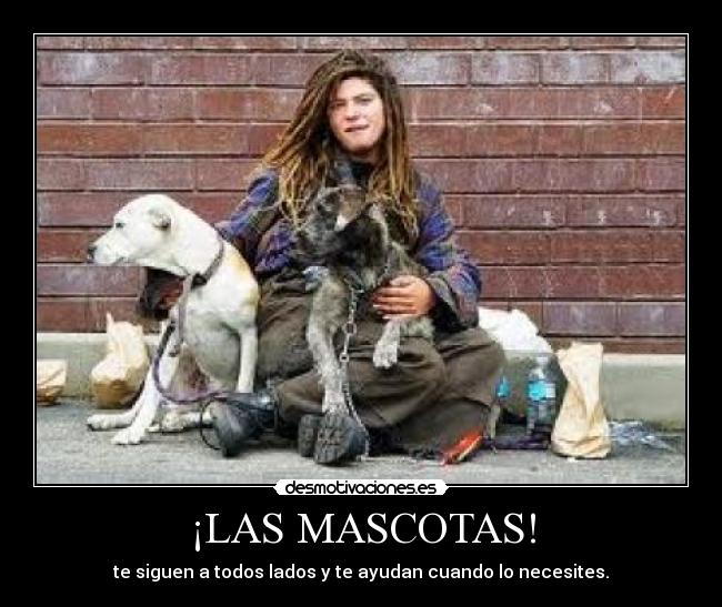 ¡LAS MASCOTAS! - te siguen a todos lados y te ayudan cuando lo necesites.