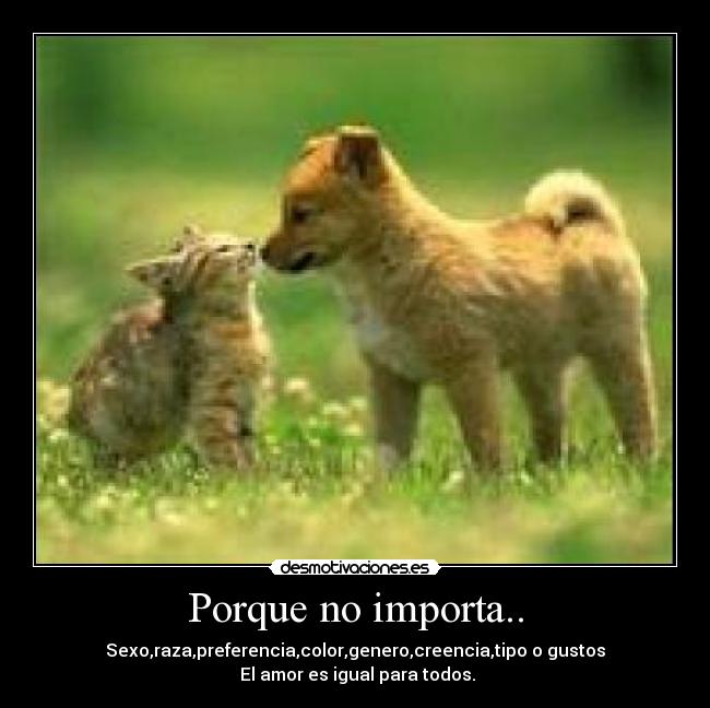 Porque no importa.. -