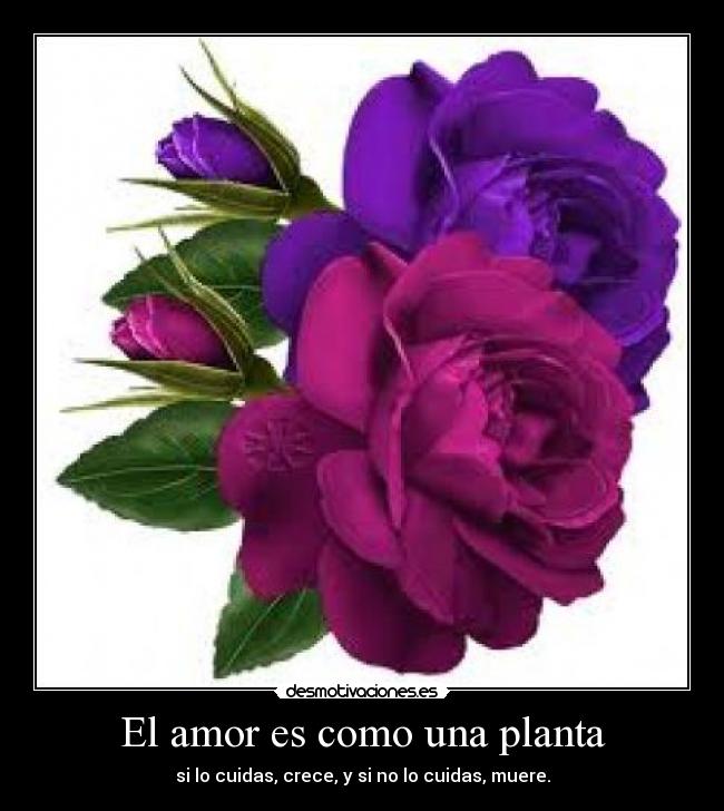 carteles amor cursi pero cierto desmotivaciones