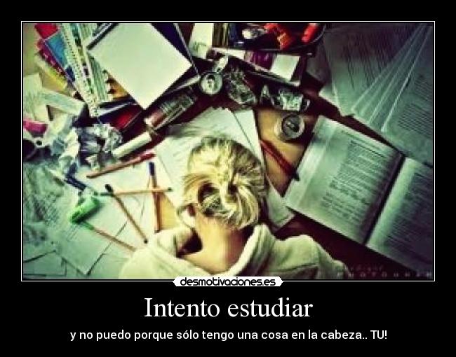 Intento estudiar - y no puedo porque sólo tengo una cosa en la cabeza.. TU!