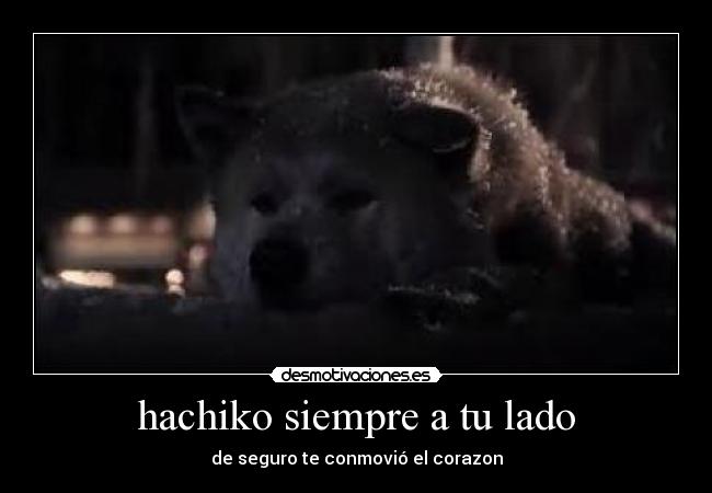 hachiko siempre a tu lado - de seguro te conmovió el corazon