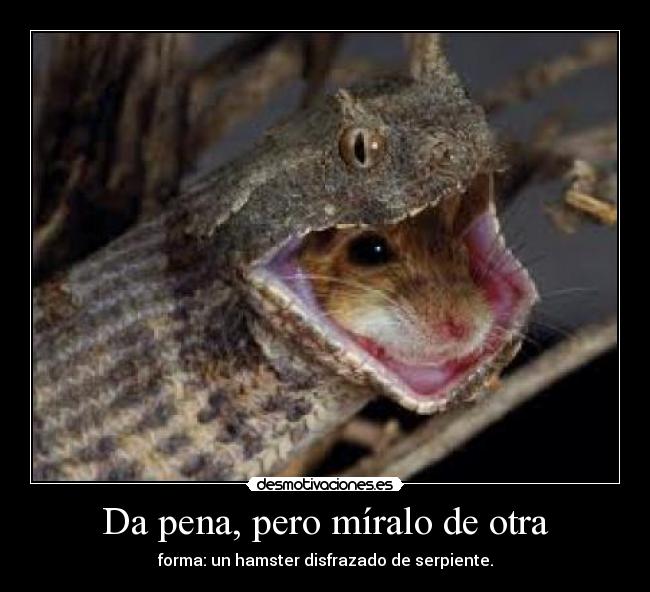 Da pena, pero míralo de otra -