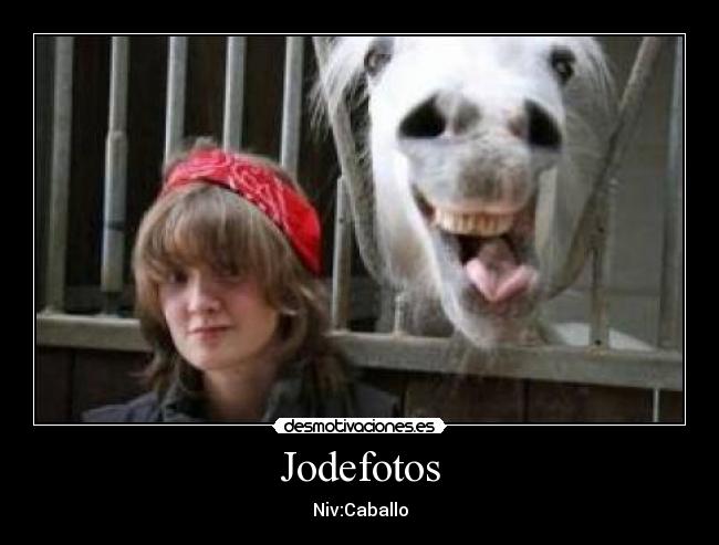 Jodefotos - Niv:Caballo