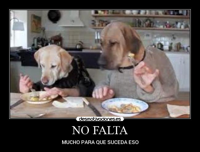 NO FALTA -