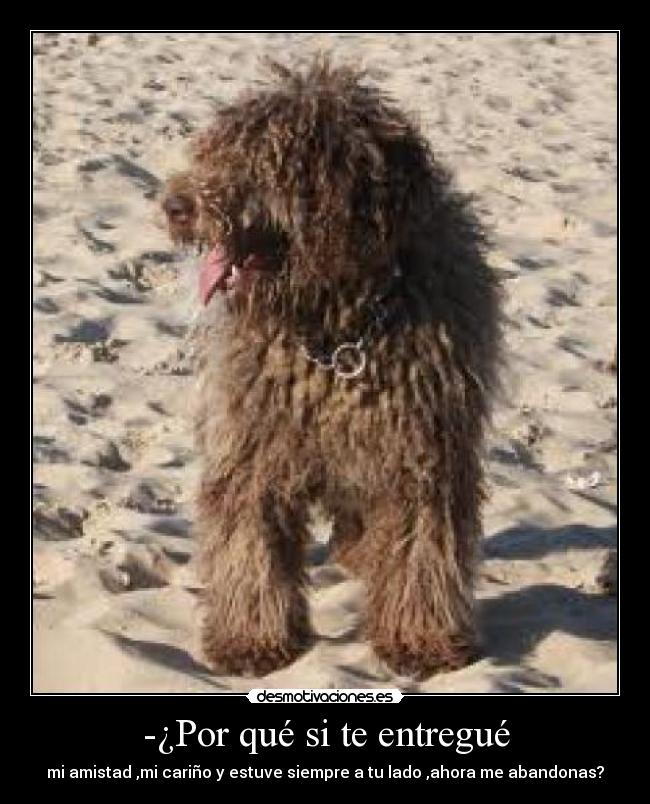 -¿Por qué si te entregué - 