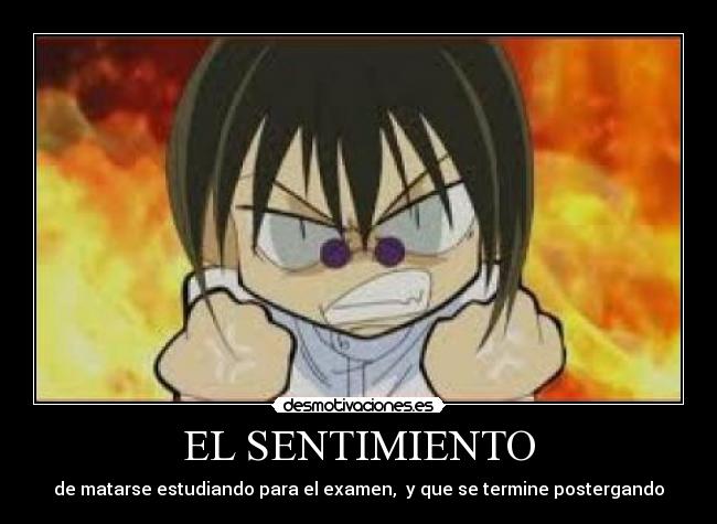 EL SENTIMIENTO - de matarse estudiando para el examen, y que se termine postergando