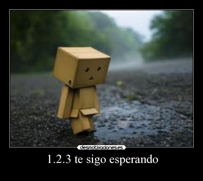 1.2.3 te sigo esperando - 