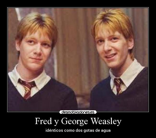 Fred y George Weasley - idénticos como dos gotas de agua