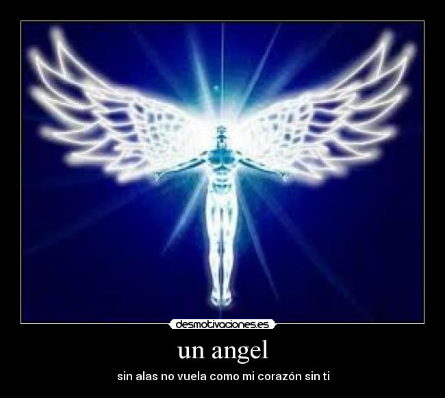un angel - sin alas no vuela como mi corazón sin ti