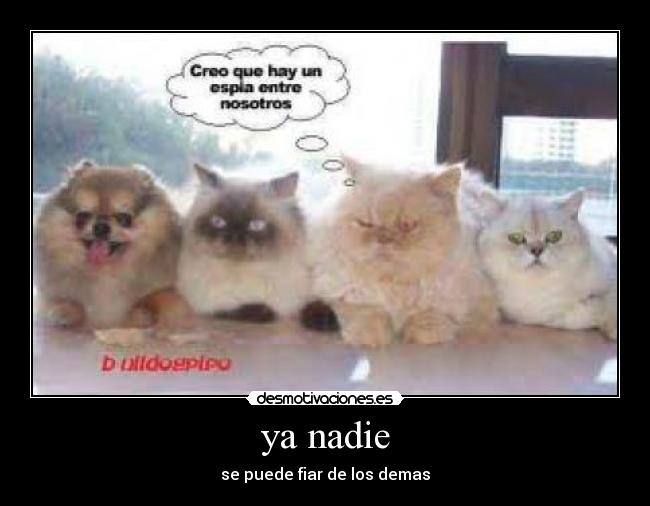 ya nadie - 