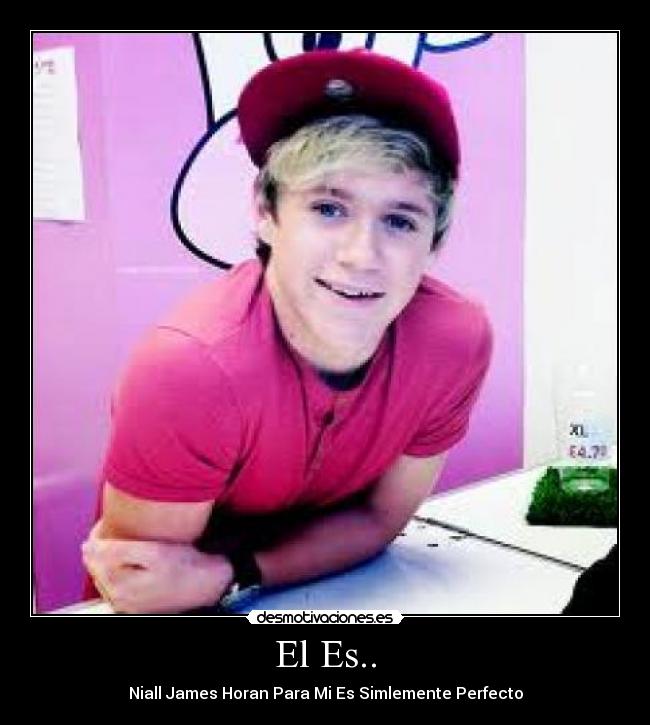 El Es.. - Niall James Horan Para Mi Es Simlemente Perfecto