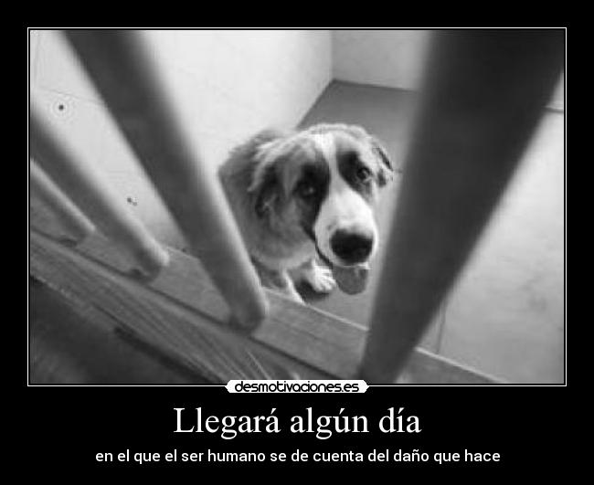 Llegará algún día -