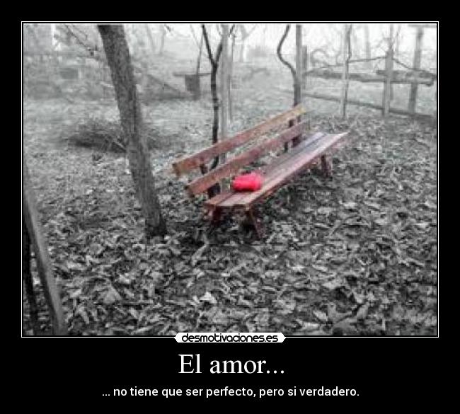 El amor... - ... no tiene que ser perfecto, pero si verdadero.