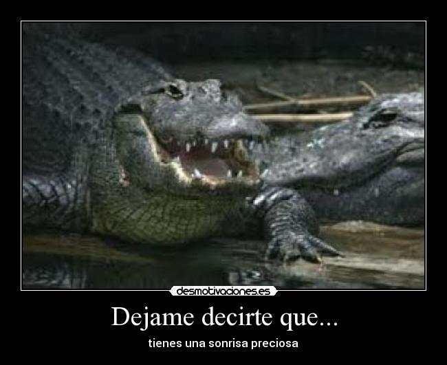Dejame decirte que... -