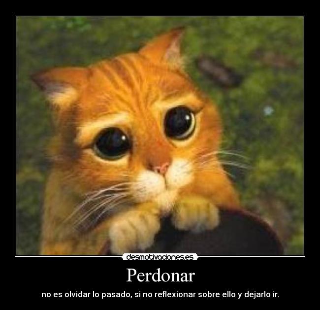 Perdonar -