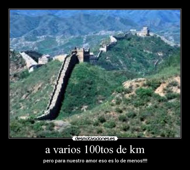 carteles amo leon desmotivaciones