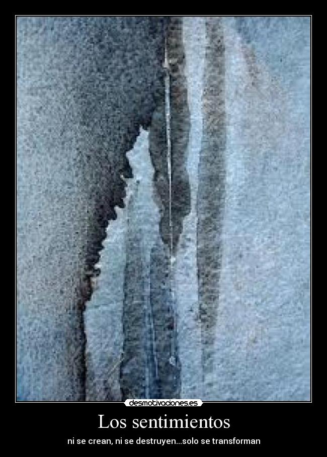 Los sentimientos - 