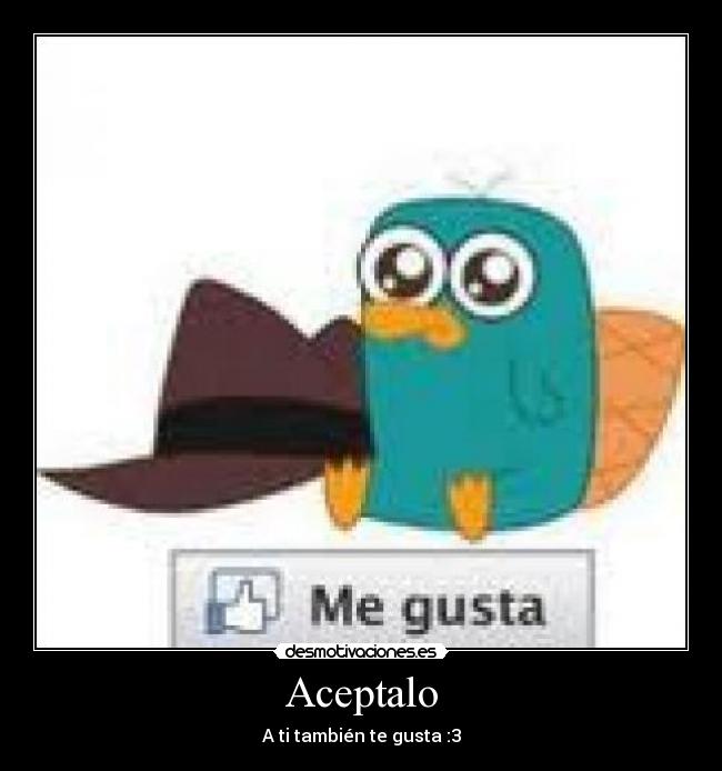 Aceptalo - A ti también te gusta :3