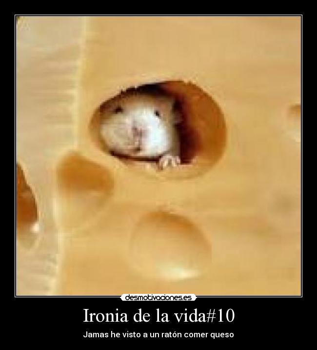 Ironia de la vida#10 - 