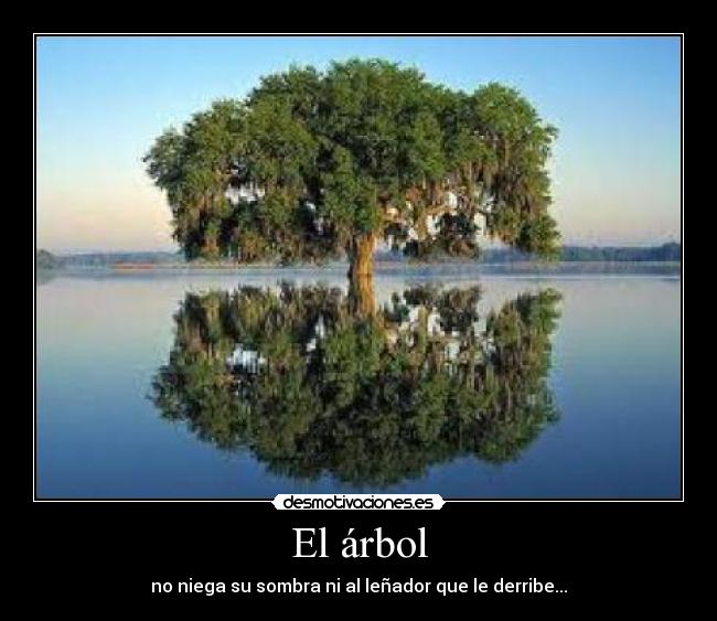 El árbol - no niega su sombra ni al leñador que le derribe...