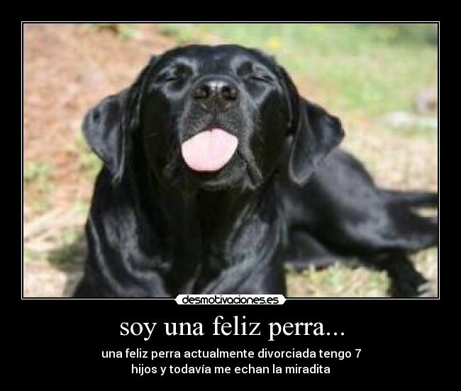 soy una feliz perra... -