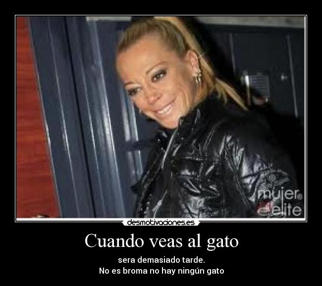 Cuando veas al gato - sera demasiado tarde.
No es broma no hay ningún gato