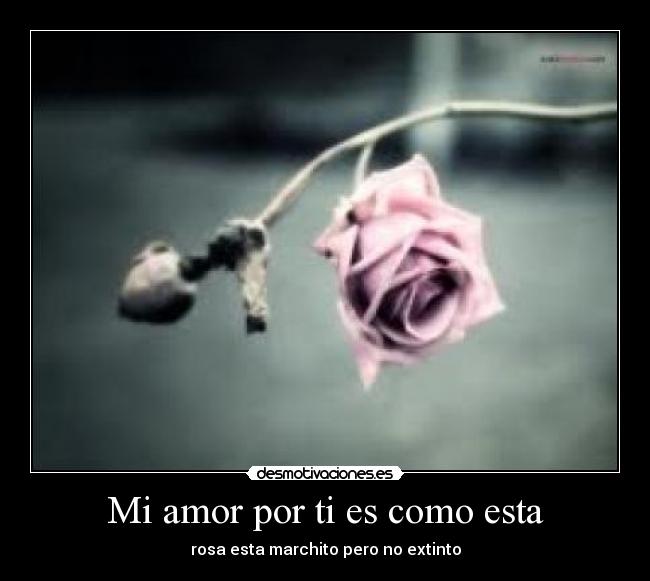 Mi amor por ti es como esta -