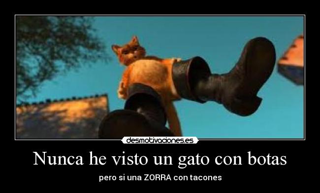 Nunca he visto un gato con botas -